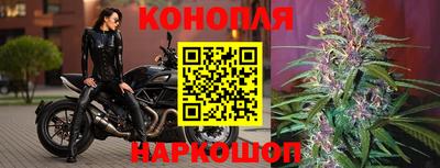 гидра Донецк