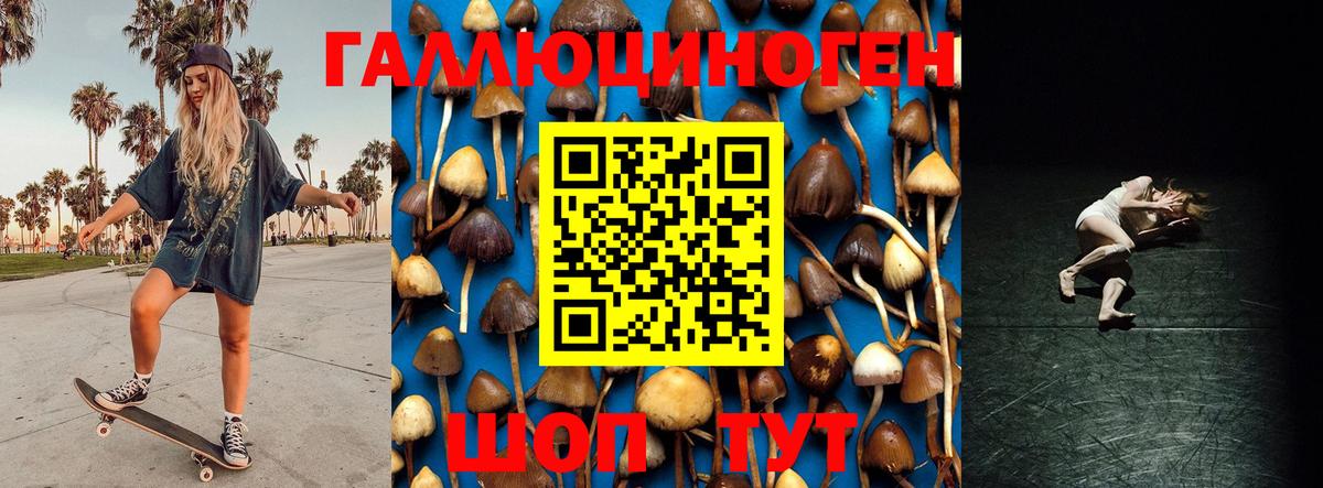 Псилоцибиновые грибы мухоморы Люберцы
