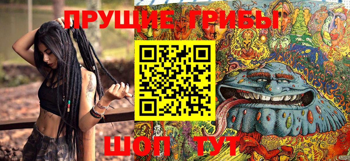 Люберцы  Галлюциногенные грибы Psilocybe  Вход с VPN 
